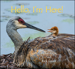 HELLO, I'M HERE! cover