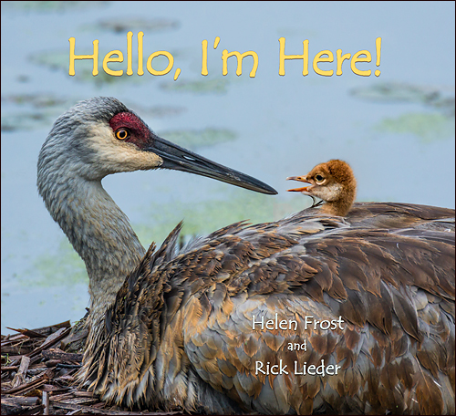 Book launch for HELLO, I'M HERE!